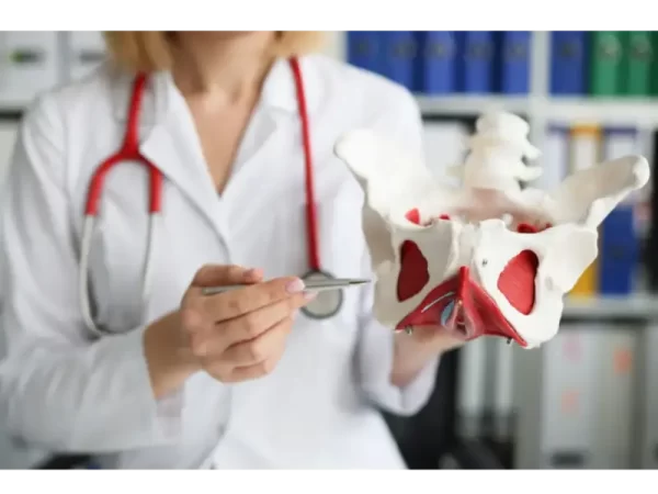 what-is-the-pelvic-floor-03